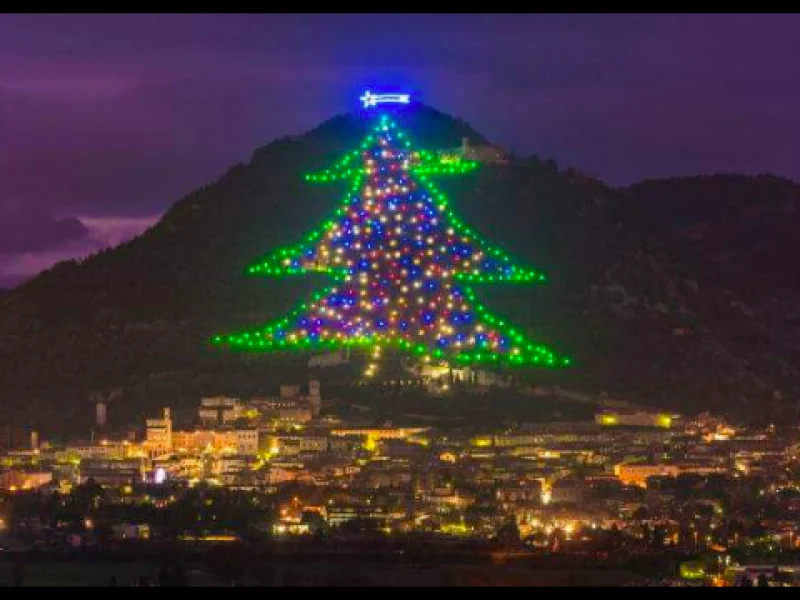 Worlds largest christmas tree in Italy